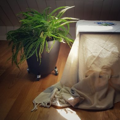 Pflanze, Tisch mit Stoff bedeckt