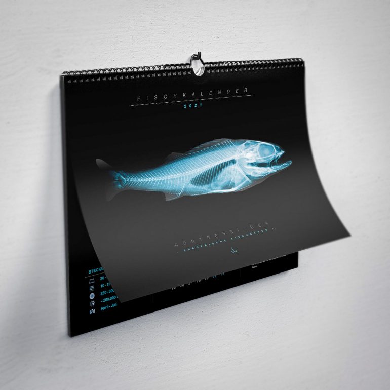 Titelblatt Fischröntgenkalender 2021